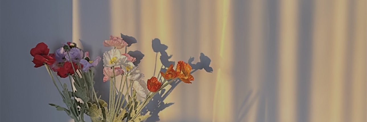 morgunea's profile banner image