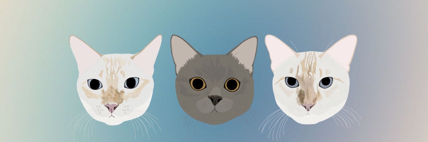 disdonggu's profile banner image