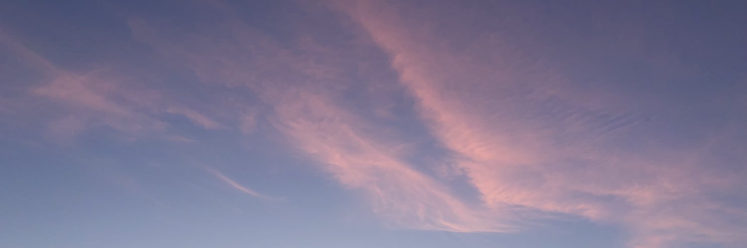 avesvolant's profile banner image