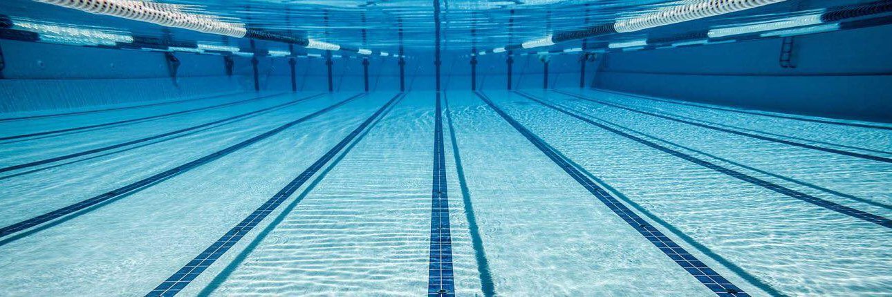 NEISDASwimDive's profile banner image