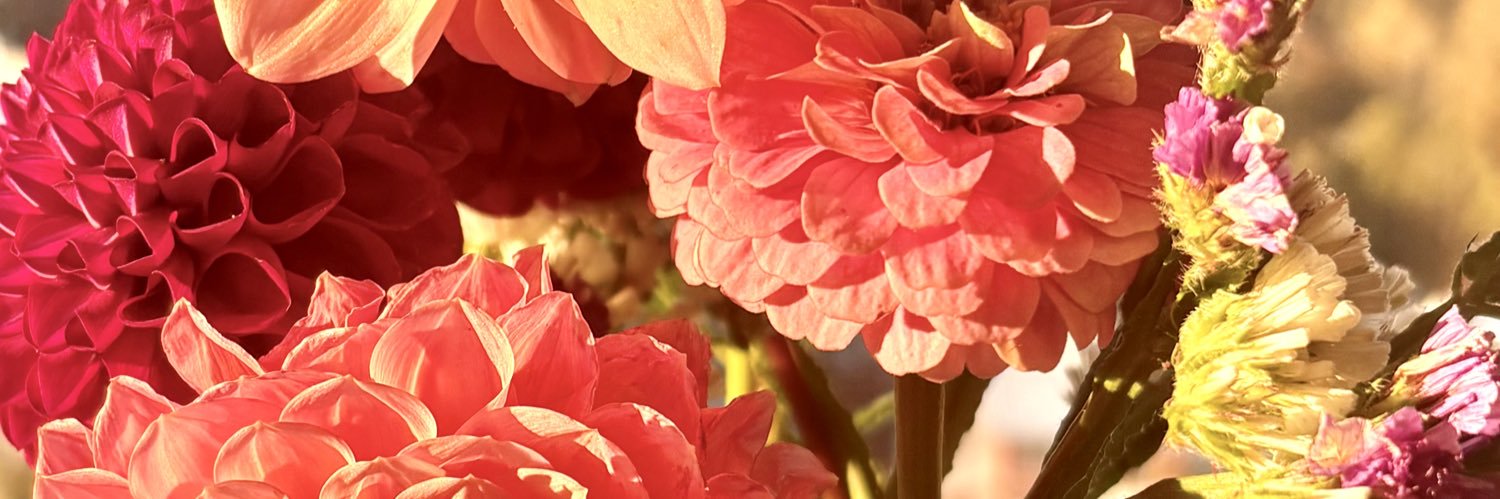 Stephanie Thomas banner