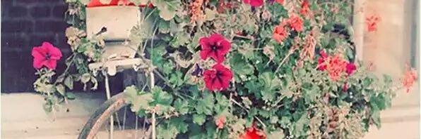 is4_vianna's profile banner image