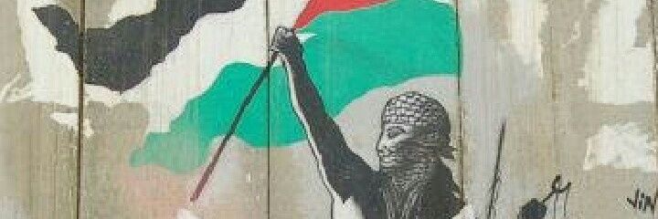 nperezir's profile banner image