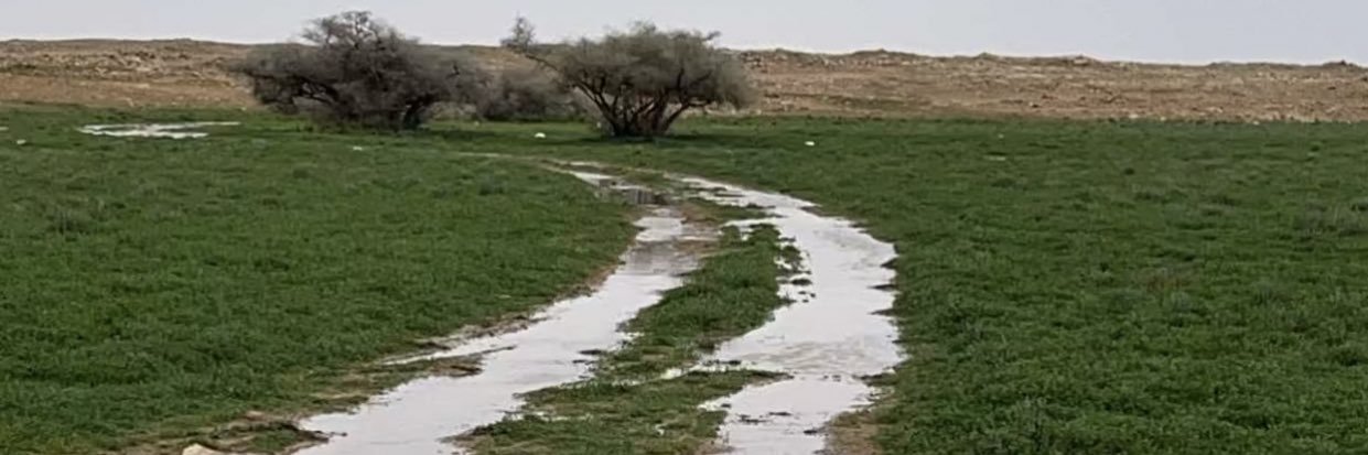 fahd511's profile banner image
