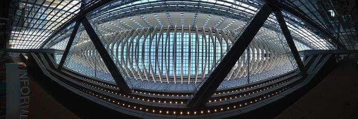 Dr. Marianna Cavada banner