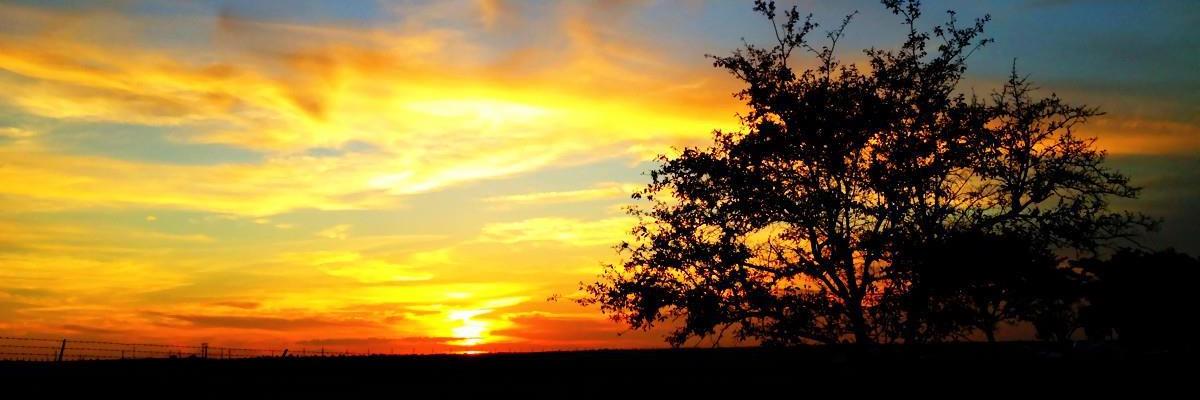 tonocarias's profile banner image