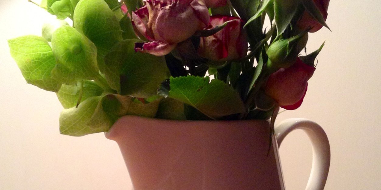 dewdropflorals's profile banner image