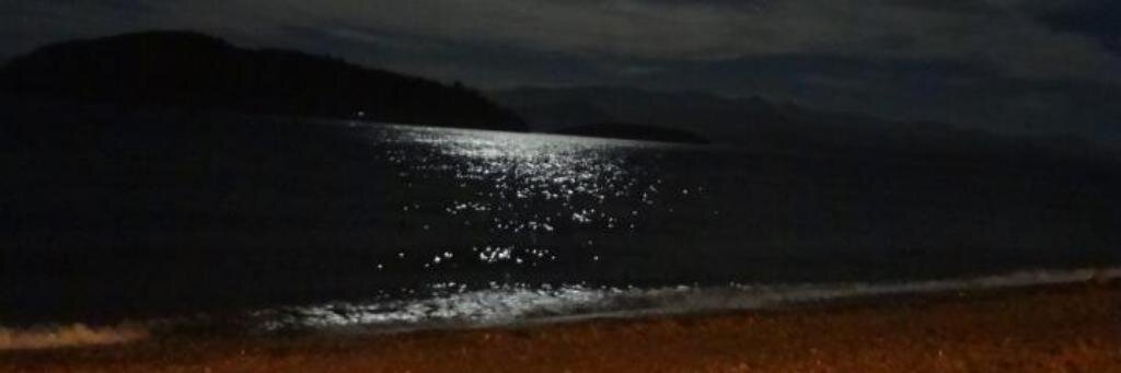 geerziitoo's profile banner image