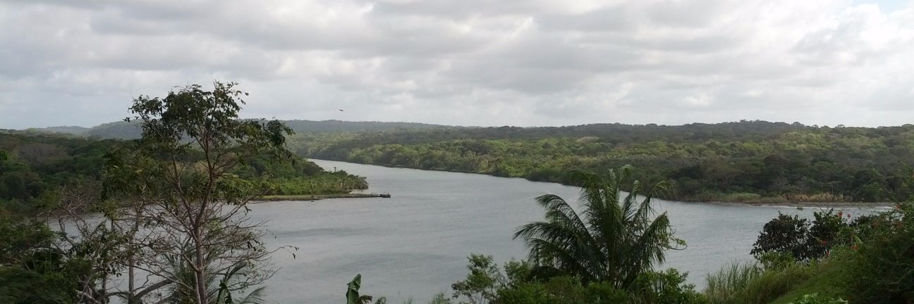 Diego Quijano Durán banner