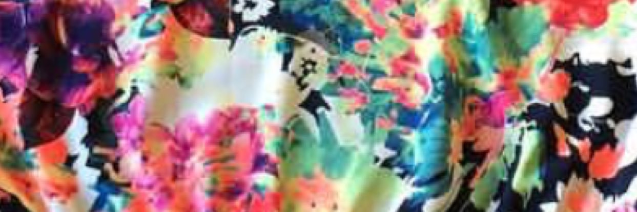 Cassilyn Schnell banner