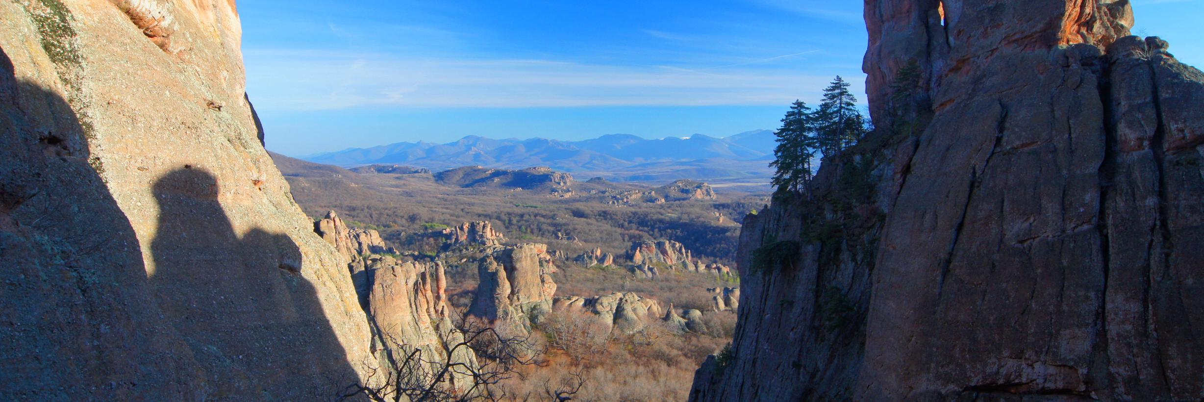 Kostantsa Rangelova banner