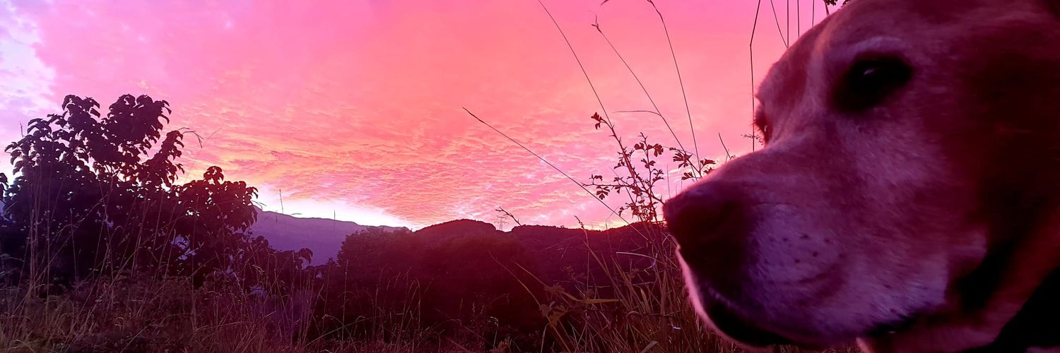 HaksOkan's profile banner image