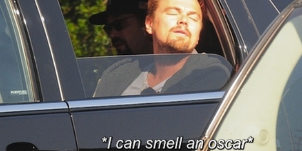 ShinyDiCaprihoe's profile banner image