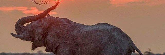 cmc_10's profile banner image