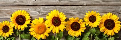 Deema banner