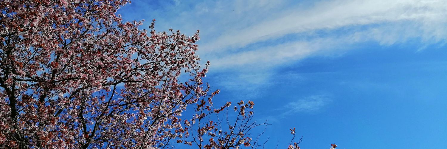 SaraPuente2000's profile banner image