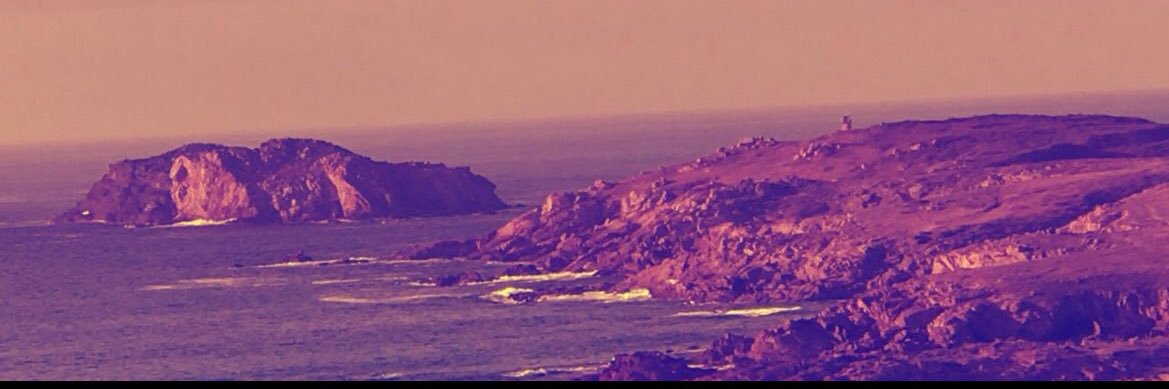 elisa__p_m's profile banner image