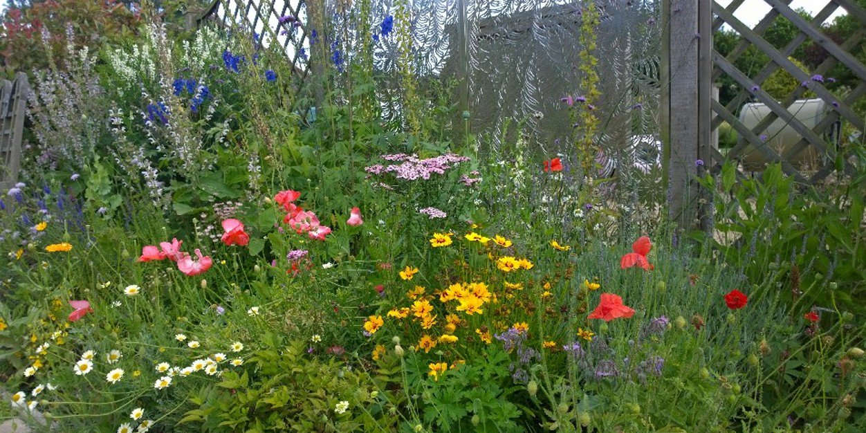 StratfordBloom's profile banner image