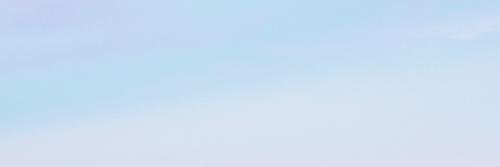 anetaschetto's profile banner image