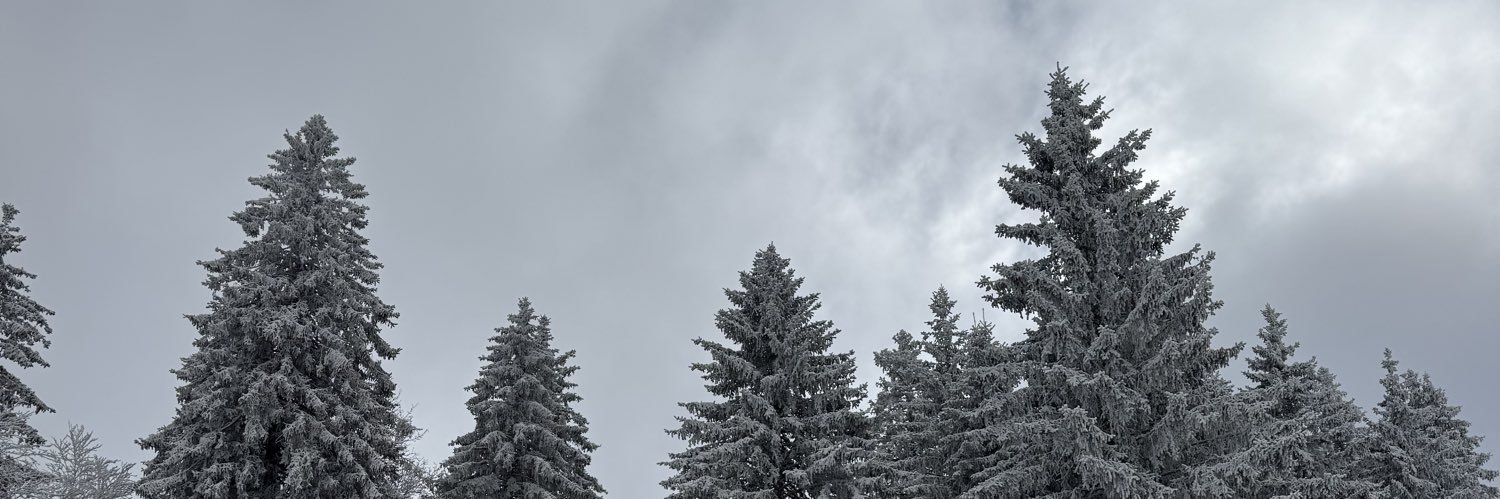 rabibabequeen's profile banner image