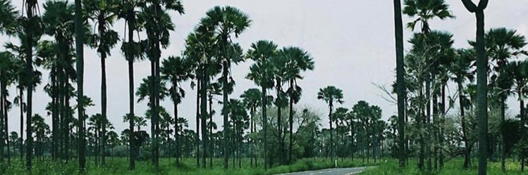 Do9499's profile banner image
