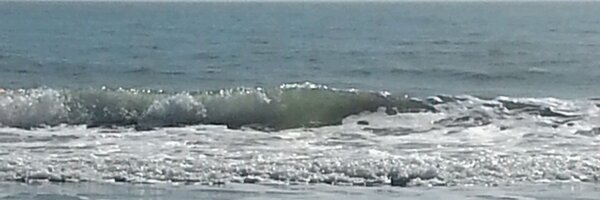 AdaraBowen Profile Banner