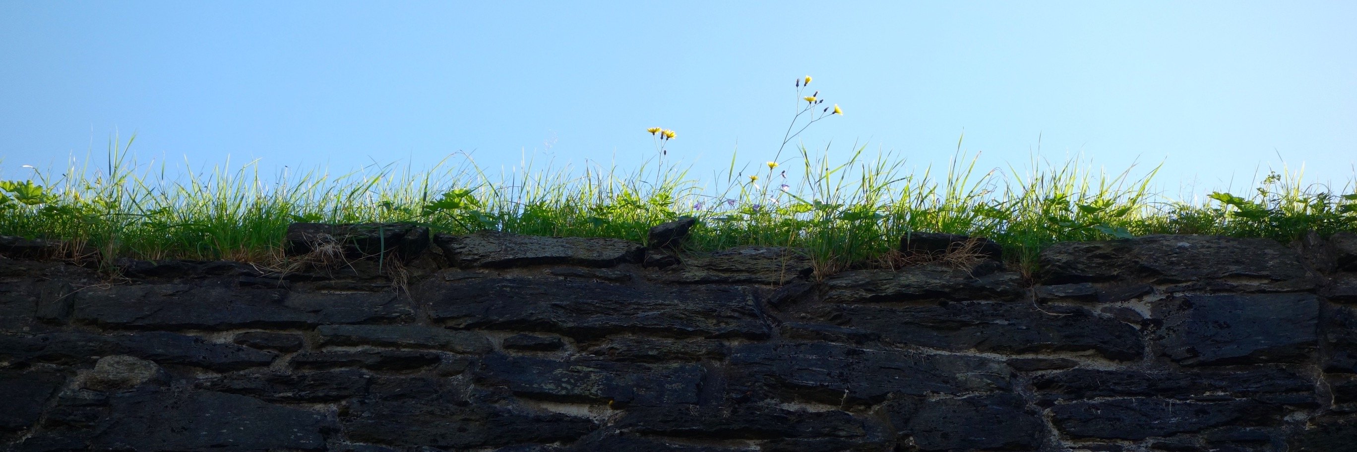 1024kilobyte's profile banner image