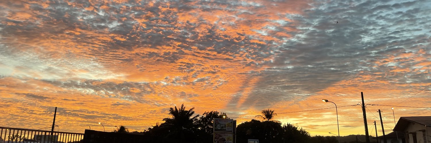 Chantal Maurice banner