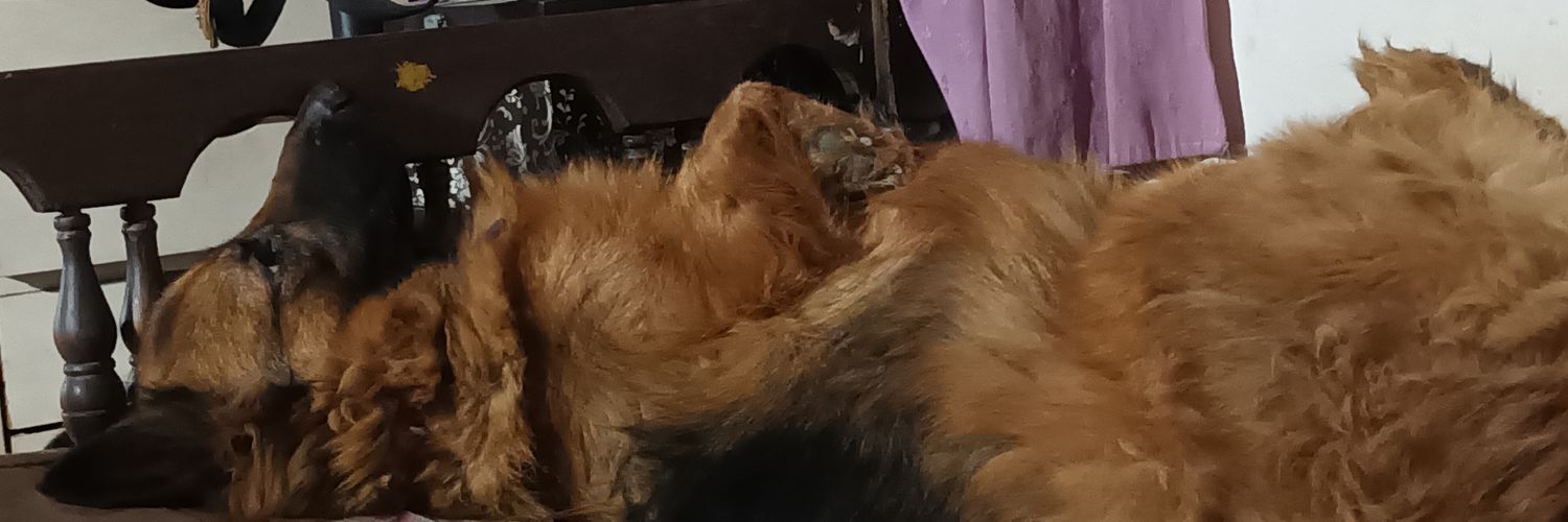 SolangeGruben's profile banner image