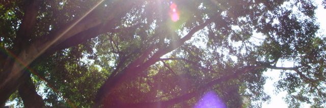 b22310's profile banner image