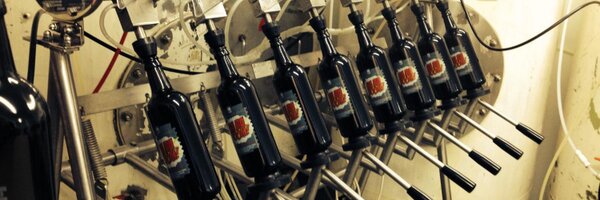 Frogbeers Profile Banner