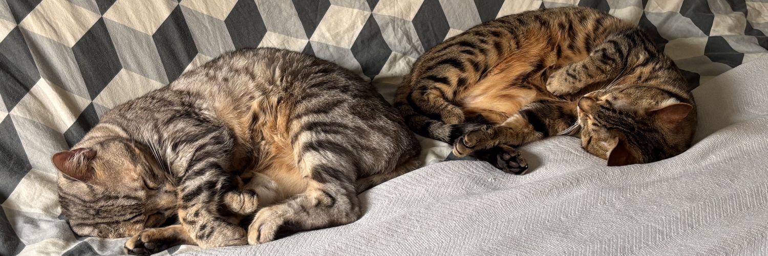 💀x🤖🤖🤖 banner