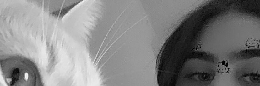 antunesfra's profile banner image