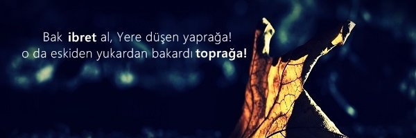 ByOvayurt's profile banner image