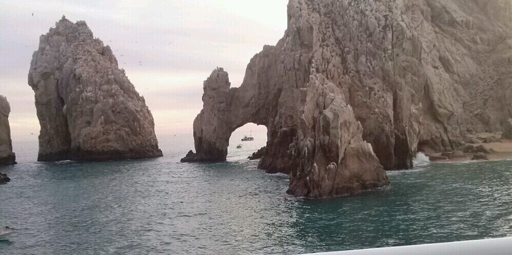 Lurdes Macliz Serran banner