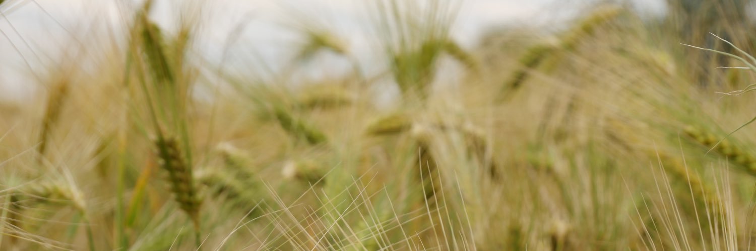 Bladiblu's profile banner image
