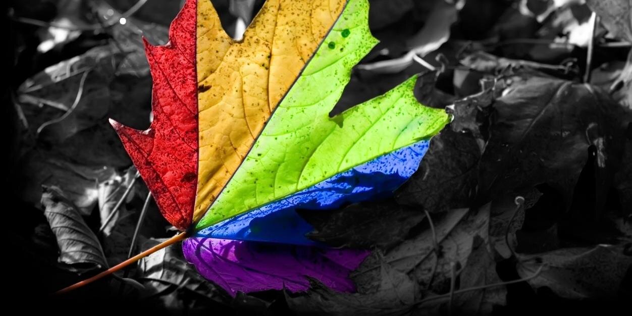 simply_niyati's profile banner image