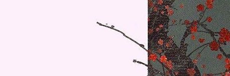 softassweeb's profile banner image