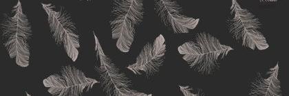 venus_little's profile banner image