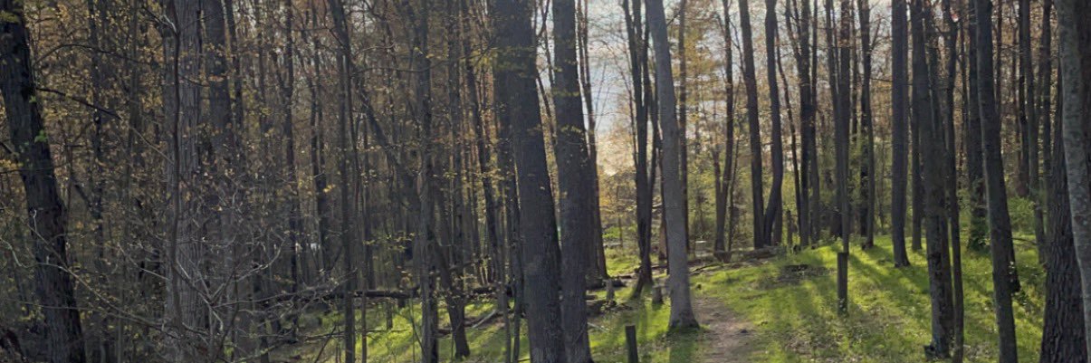 TheDruh's profile banner image