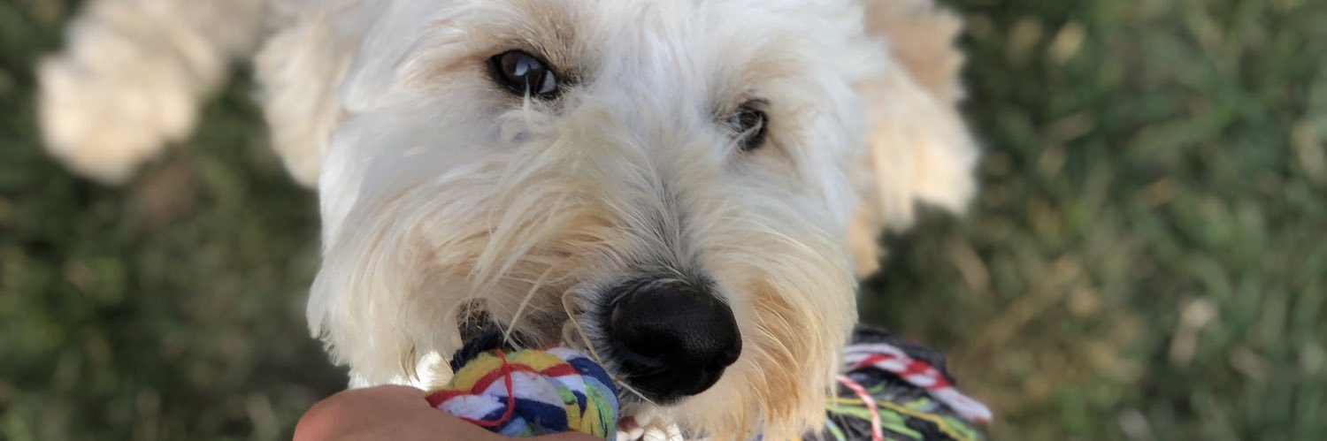 Naethan Hoaglund banner