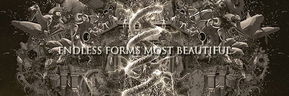 Luisensutuiter's profile banner image