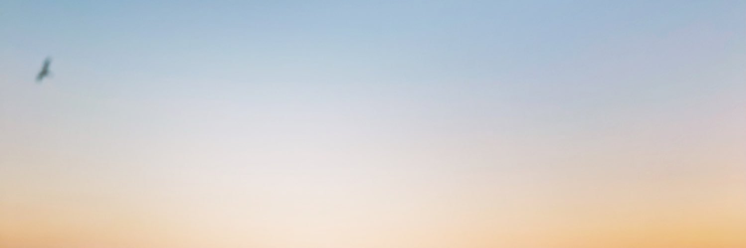 dincsln's profile banner image