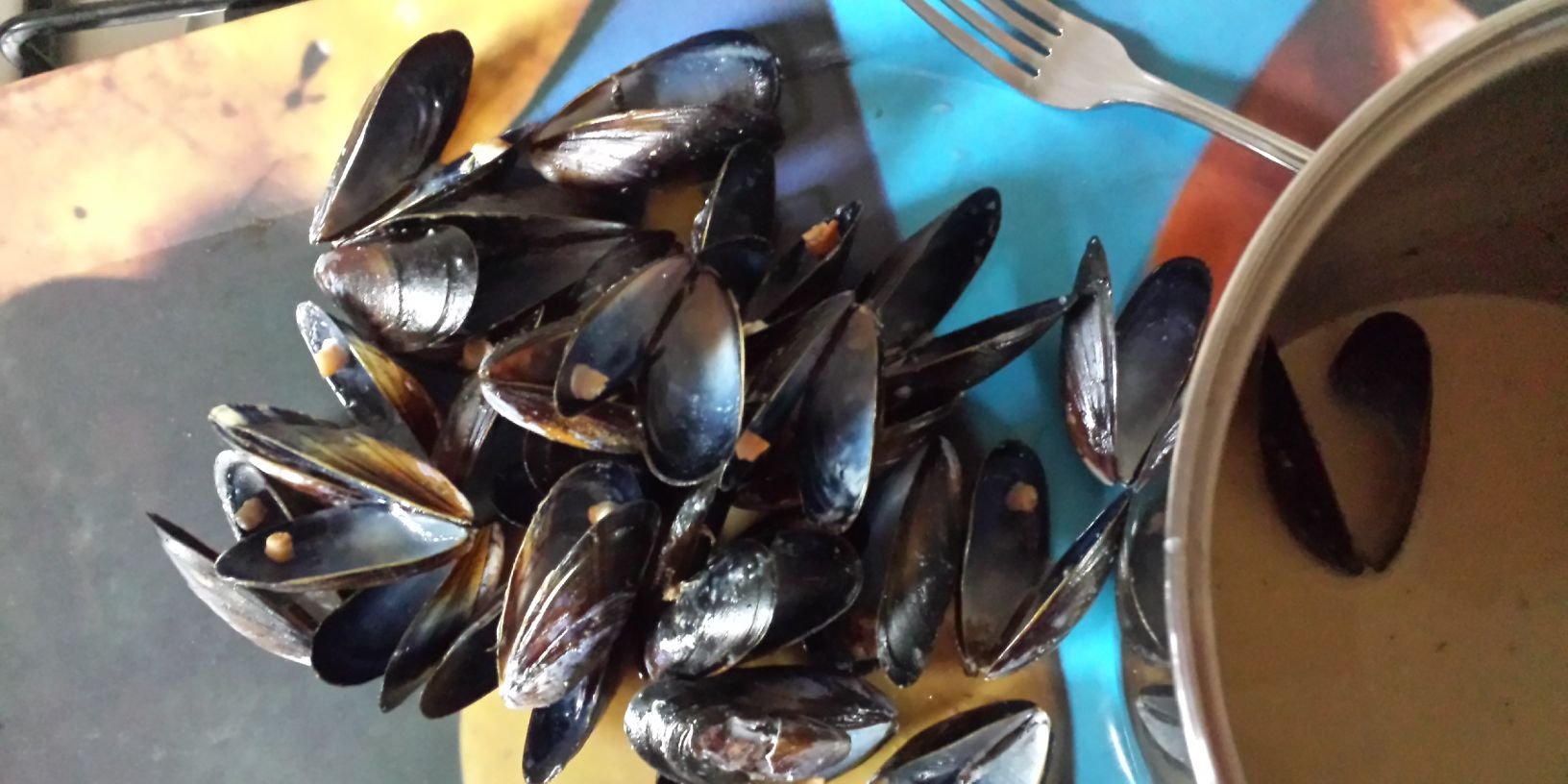 eleanor binns banner