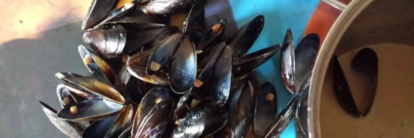 franbinns Profile Banner