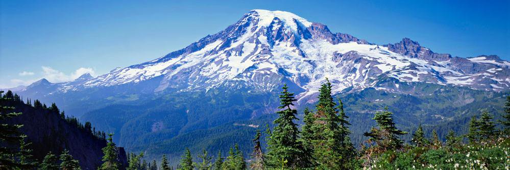 Christopher Hayles banner