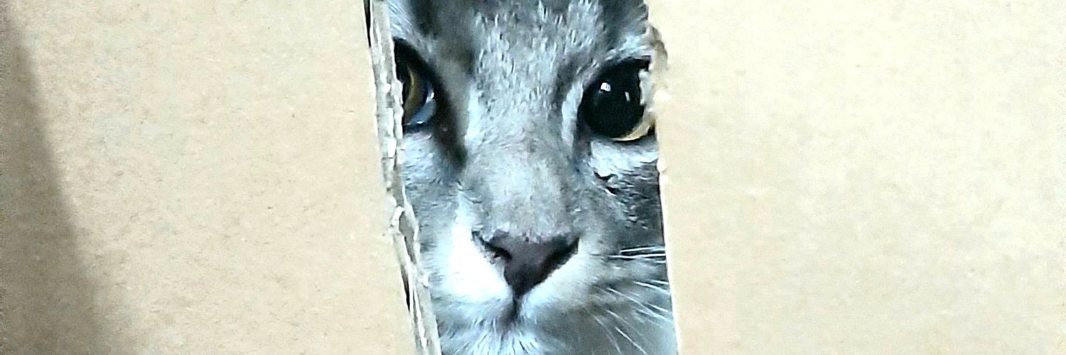 ilamrezza's profile banner image
