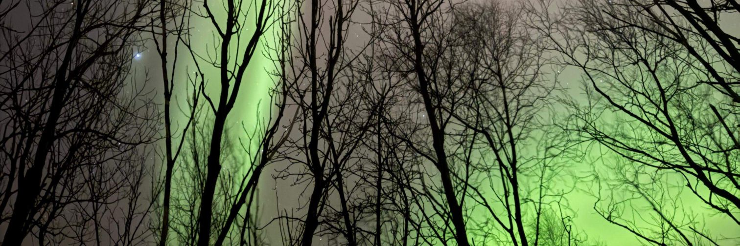mangelspb's profile banner image