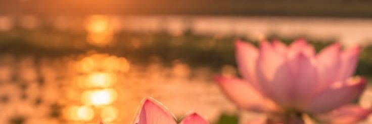 busrabaskal's profile banner image
