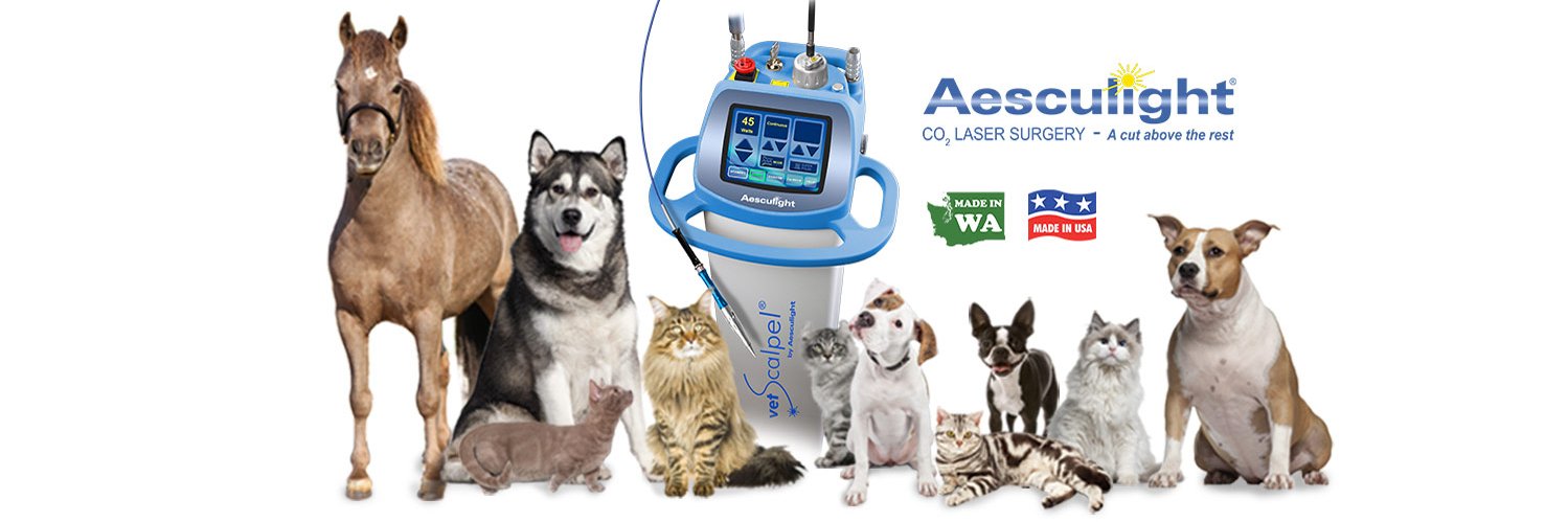 Aesculight's profile banner image